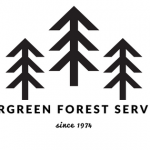 Evergreen Forest Services